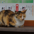 2334-1.jpg