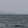 2336-3.jpg
