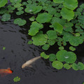 2337-2.jpg