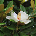 2340-3.jpg