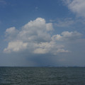 2342-1.jpg