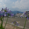 2342-3.jpg