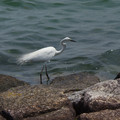 2346-3.jpg