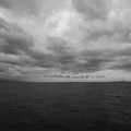 2348-1.jpg