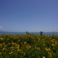 2687-3.jpg