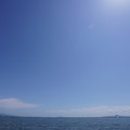 2689-1.jpg