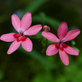 2692-2.jpg