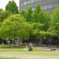 2698-3.jpg