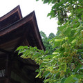2699-2.jpg