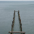 2702-1.jpg