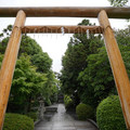 2706-1.jpg