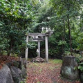2706-2.jpg