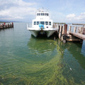 2707-3.jpg