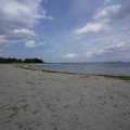 2708-1.jpg