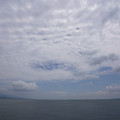 2710-1.jpg