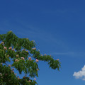 2714-2.jpg
