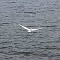 2755-2.jpg