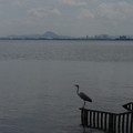 2756-1.jpg