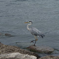 2758-1.jpg