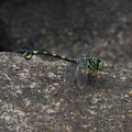 2758-2.jpg