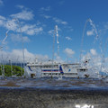 2764-2.jpg