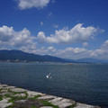 2765-3.jpg