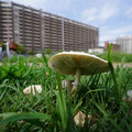 2768-2.jpg