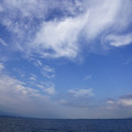 2769-1.jpg