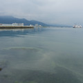 2771-1.jpg