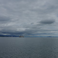 2772-1.jpg