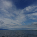 2772-2.jpg