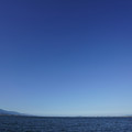 2774-3.jpg