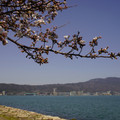 3359-1.jpg