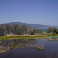 3359-2.jpg