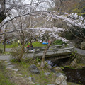 3360-1.jpg