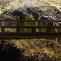 3361-2.jpg