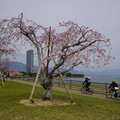 3364-1.jpg