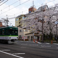 3365-3.jpg