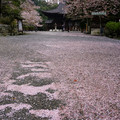 3367-1.jpg