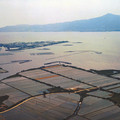 3367-2.jpg