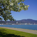 3368-1.jpg