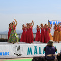 3371-2.jpg