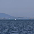 3372-1.jpg