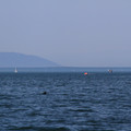 3372-2.jpg