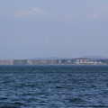 3372-3.jpg