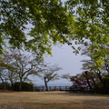 3373-1.jpg