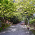 3373-2.jpg