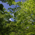 3375-1.jpg