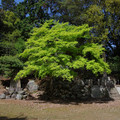 3377-1.jpg