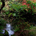 3379-1.jpg